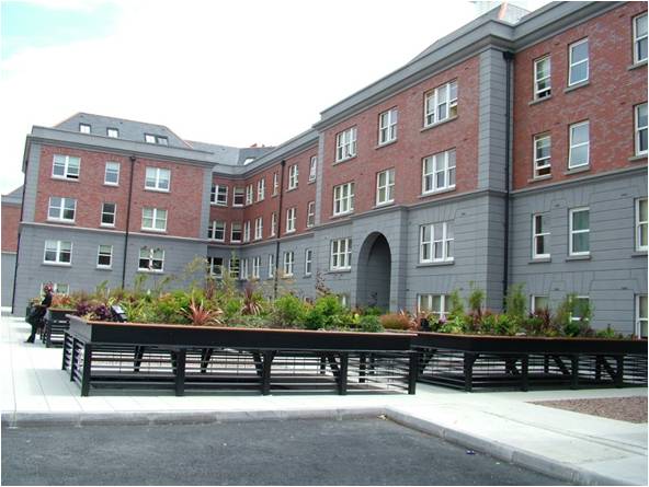 Picture2