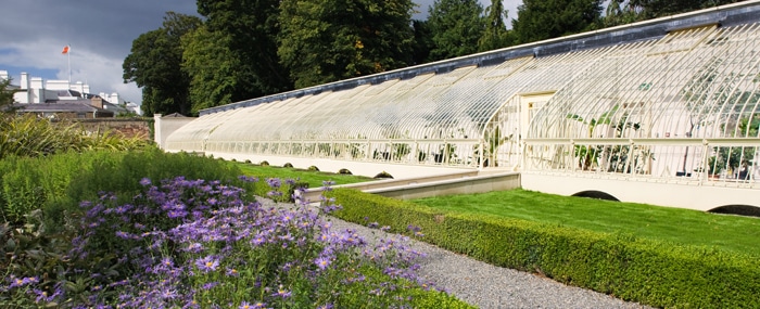 R_C_the peach house_3