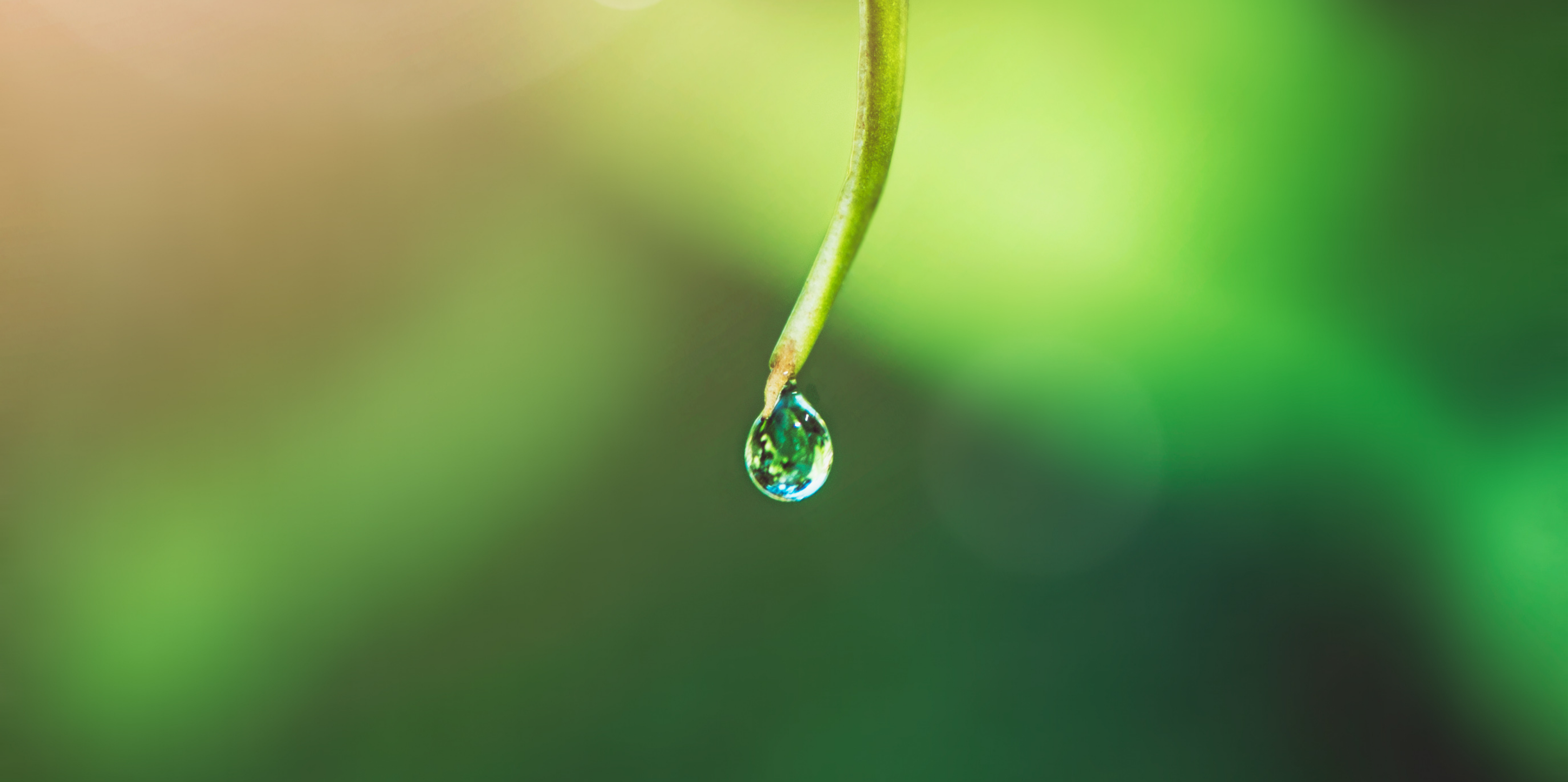 Building Responsibly: Smarter Water Management for the Future