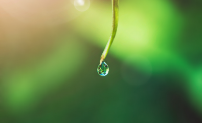 Building Responsibly: Smarter Water Management for the Future