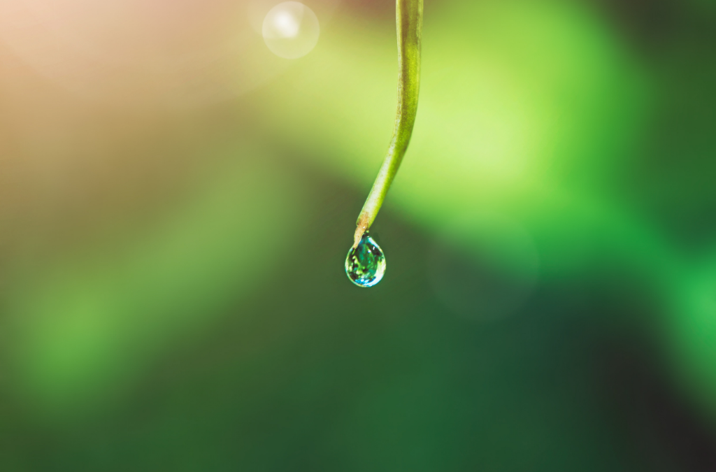 Building Responsibly: Smarter Water Management for the Future